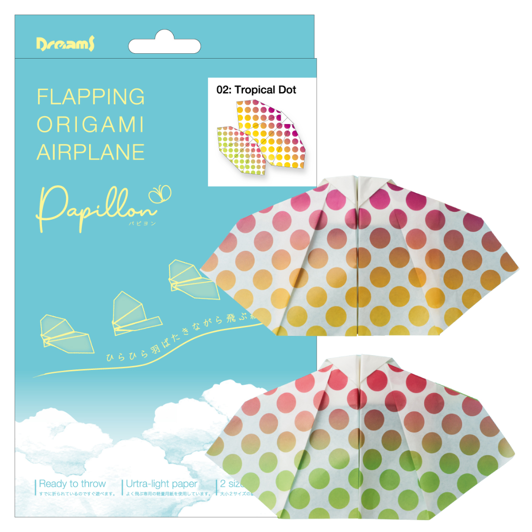Papillon Origami Airplanes